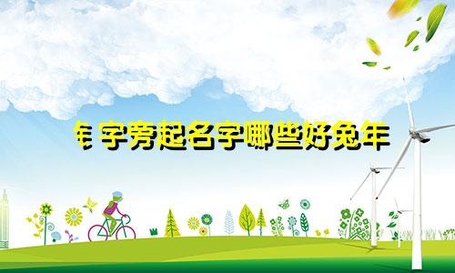 钅字旁起名字哪些好兔年