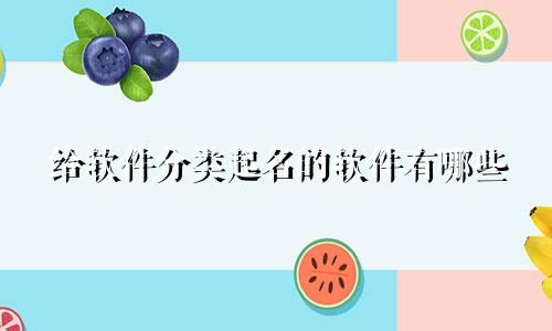 给软件分类起名的软件有哪些
