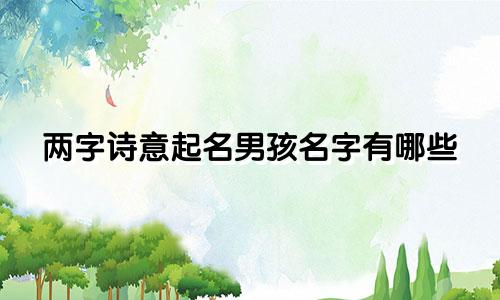两字诗意起名男孩名字有哪些