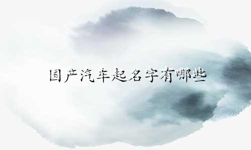 国产汽车起名字有哪些
