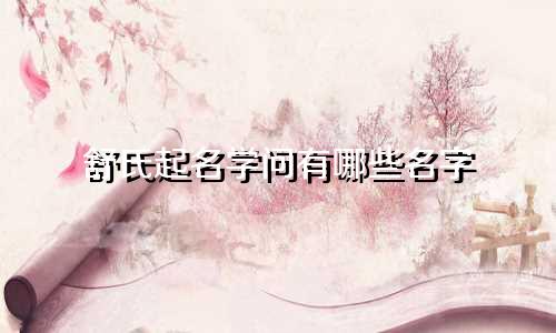 舒氏起名学问有哪些名字