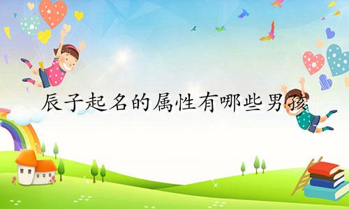 辰子起名的属性有哪些男孩