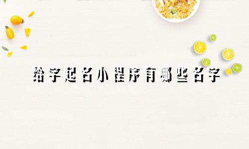 给字起名小程序有哪些名字
