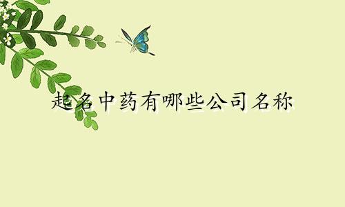 起名中药有哪些公司名称