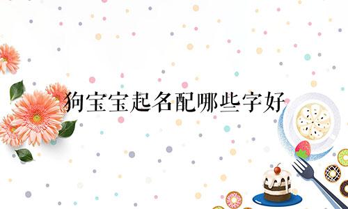 狗宝宝起名配哪些字好