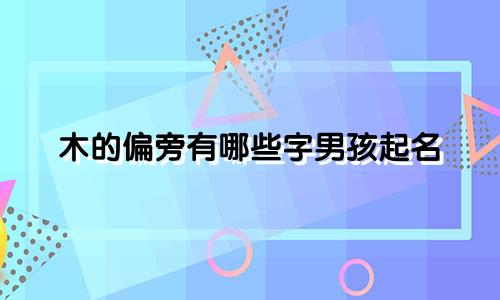 木的偏旁有哪些字男孩起名