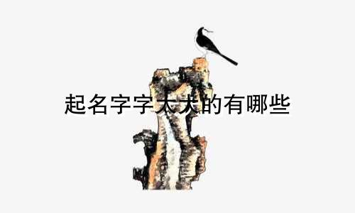 起名字字太大的有哪些