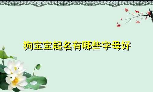 狗宝宝起名有哪些字母好