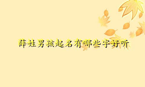 薛姓男孩起名有哪些字好听