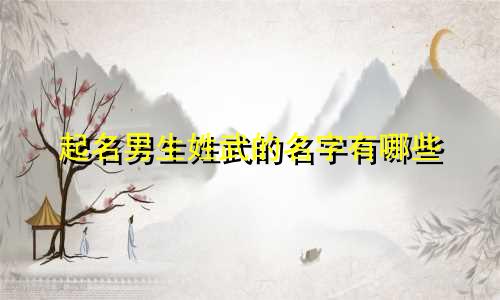 起名男生姓武的名字有哪些