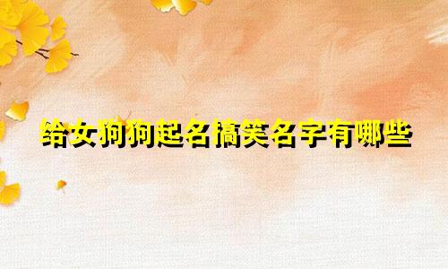 给女狗狗起名搞笑名字有哪些