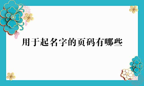 用于起名字的页码有哪些