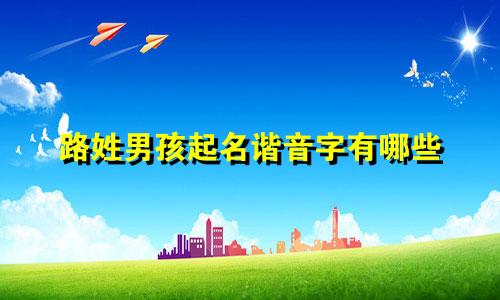 路姓男孩起名谐音字有哪些