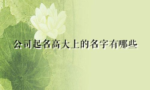 公司起名高大上的名字有哪些