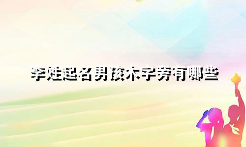 李姓起名男孩木字旁有哪些
