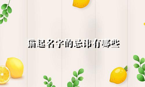 猫起名字的忌讳有哪些