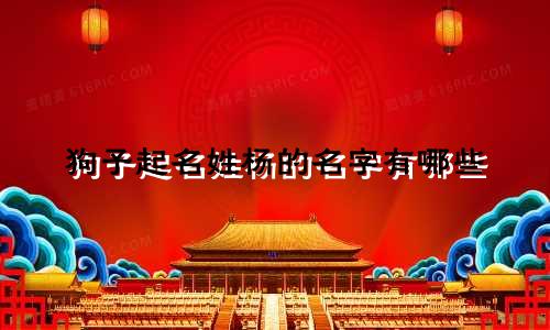 狗子起名姓杨的名字有哪些