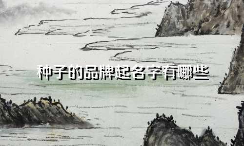 种子的品牌起名字有哪些
