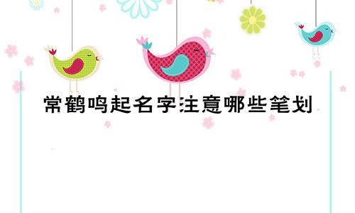 常鹤鸣起名字注意哪些笔划