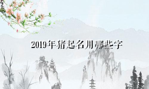2019年猪起名用哪些字