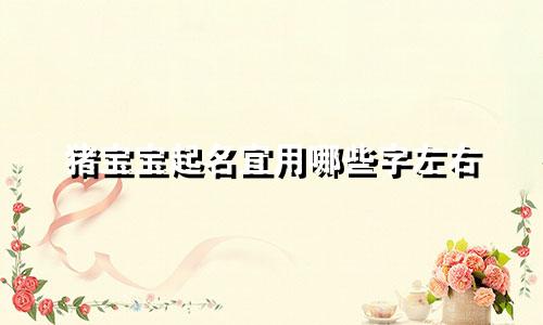 猪宝宝起名宜用哪些字左右