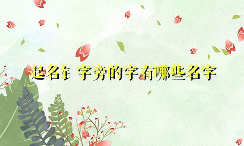 起名钅字旁的字有哪些名字