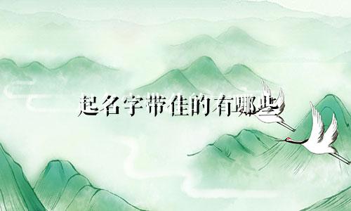 起名字带佳的有哪些