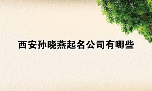 西安孙晓燕起名公司有哪些