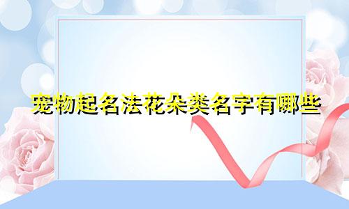 宠物起名法花朵类名字有哪些