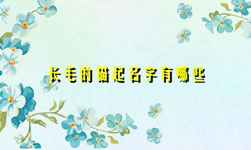 长毛的猫起名字有哪些