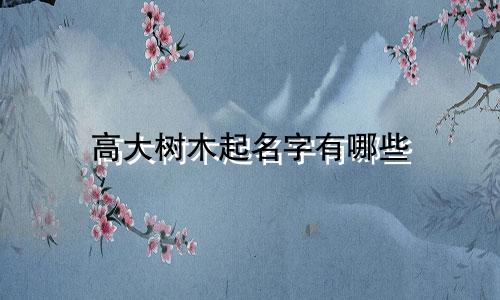 高大树木起名字有哪些