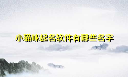 小猫咪起名软件有哪些名字