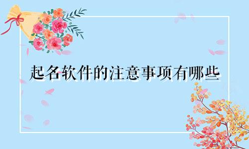 起名软件的注意事项有哪些