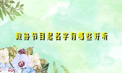 政协节目起名字有哪些好听