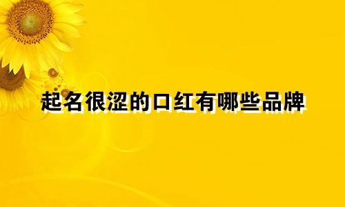 起名很涩的口红有哪些品牌