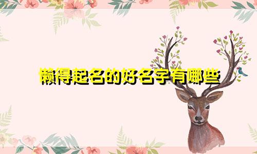 懒得起名的好名字有哪些