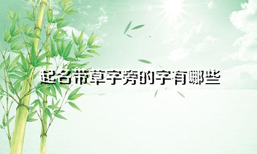 起名带草字旁的字有哪些