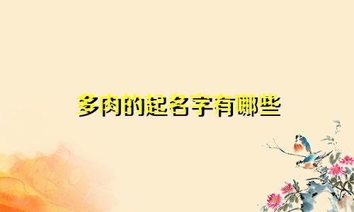 多肉的起名字有哪些