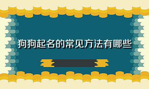 狗狗起名的常见方法有哪些