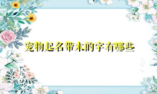 宠物起名带木的字有哪些