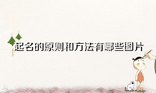 起名的原则和方法有哪些图片