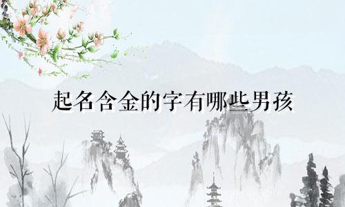 起名含金的字有哪些男孩