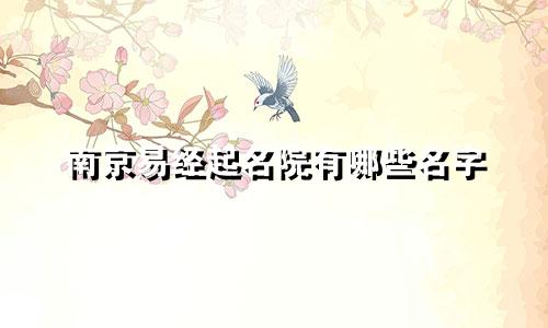 南京易经起名院有哪些名字