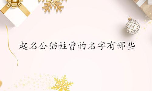 起名公猫姓曹的名字有哪些