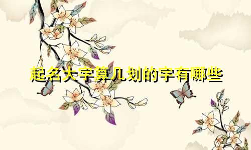 起名大字算几划的字有哪些