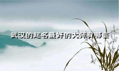 武汉的起名最好的大师有哪些