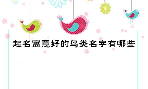 起名寓意好的鸟类名字有哪些