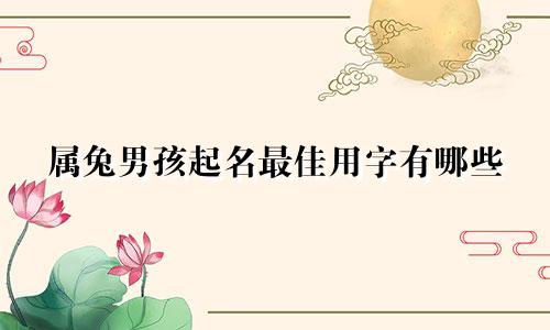 属兔男孩起名最佳用字有哪些