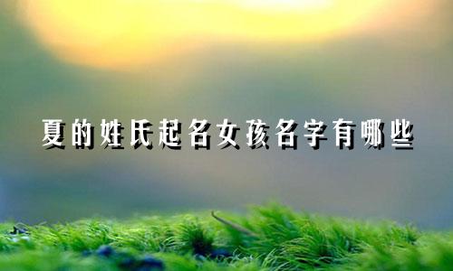 夏的姓氏起名女孩名字有哪些