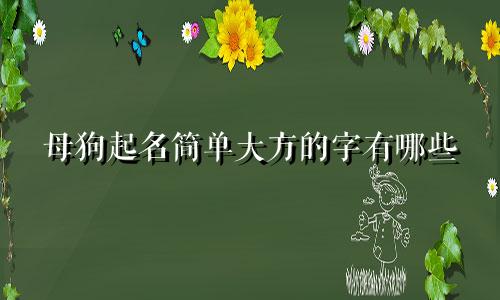 母狗起名简单大方的字有哪些